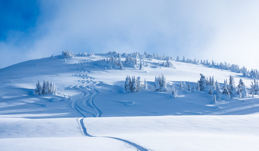 Snowy landscape with ski tracks