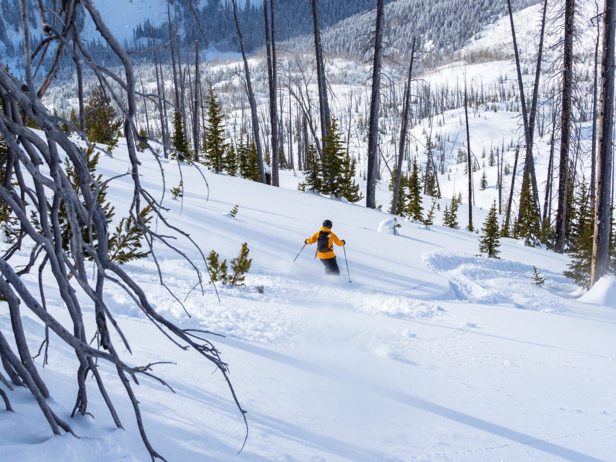 Skiier in a yellow jacket skiing down a mountainside