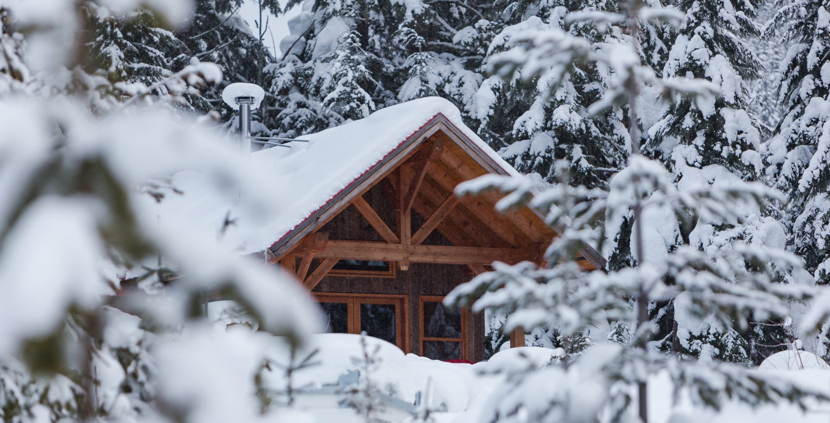 cabin hidden in the snow