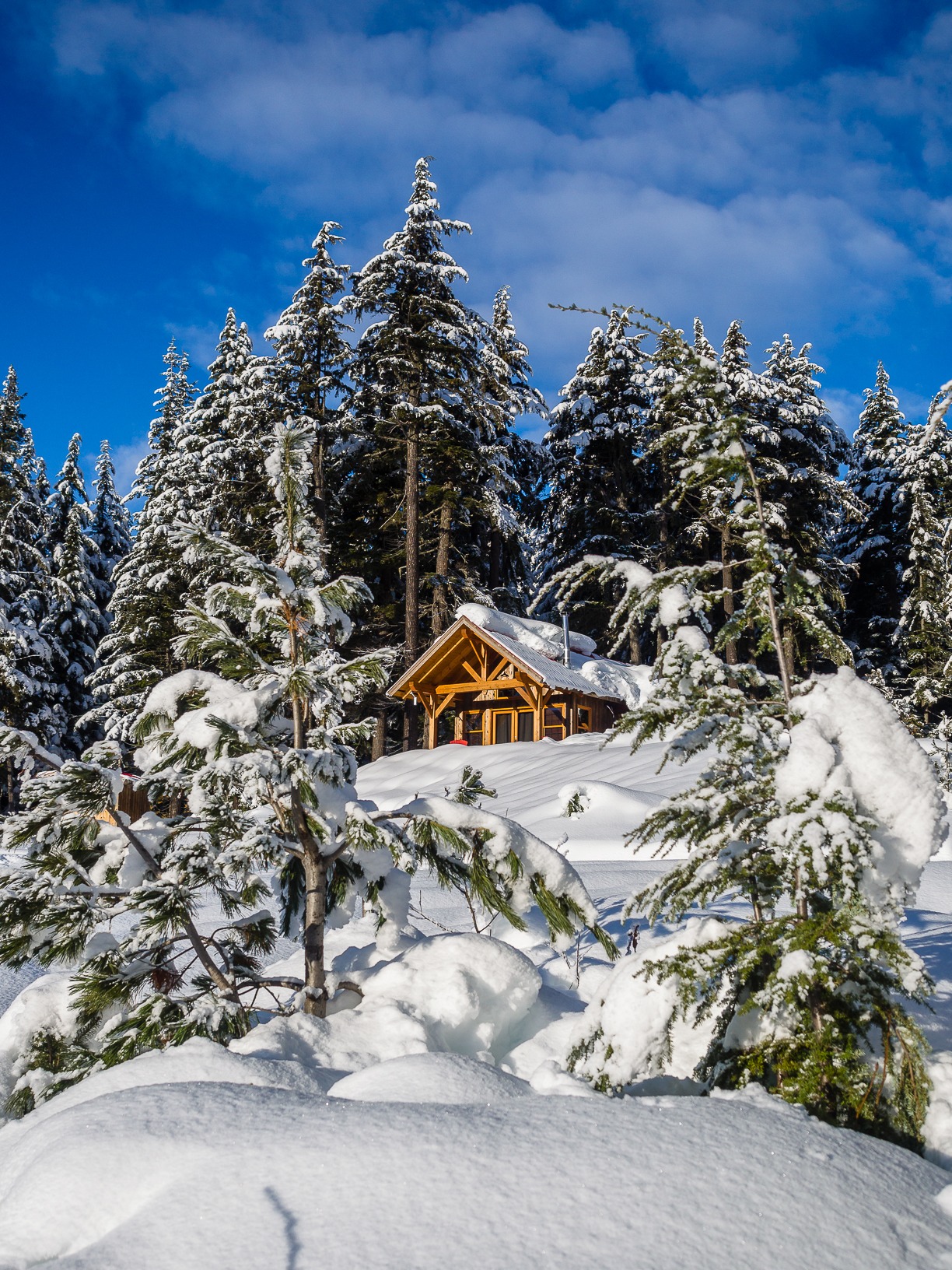 Cabin in the woods in BC canada heli ski lodge