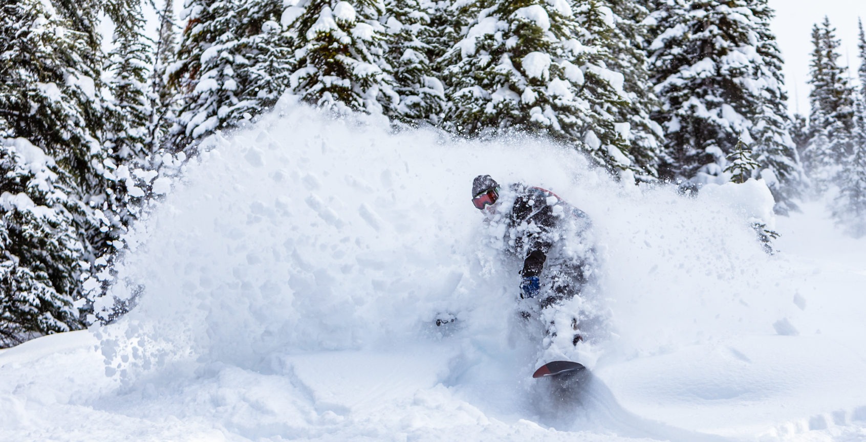 snowboarder shredding through fresh powder