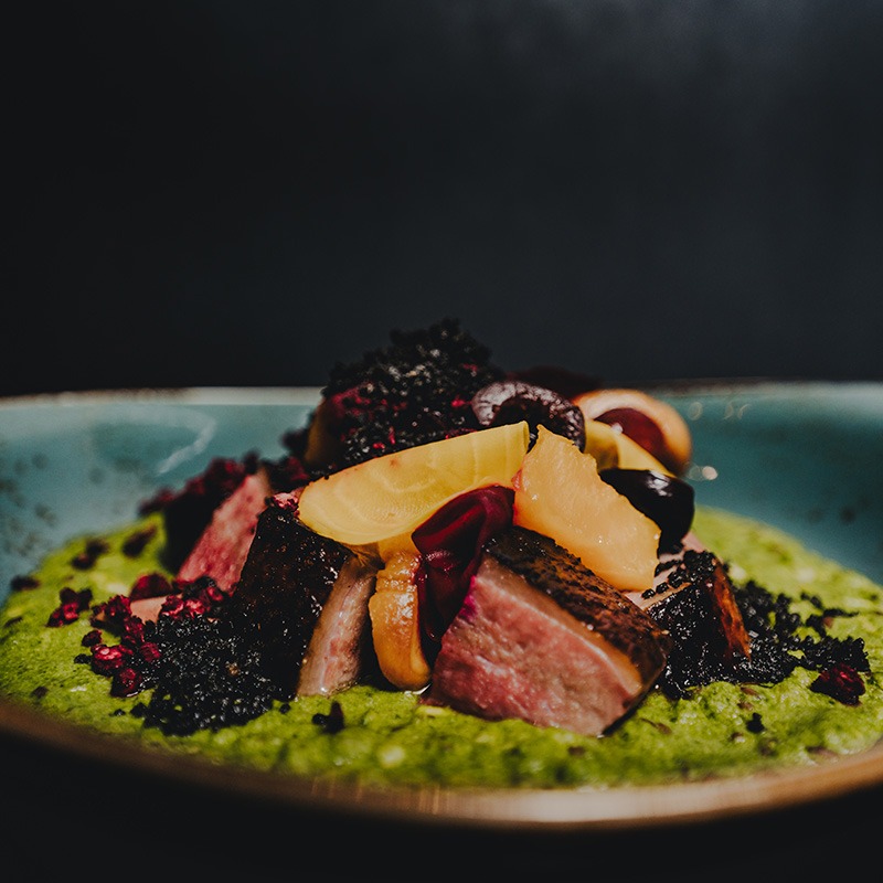smoked duck plated with fruit and green sauce