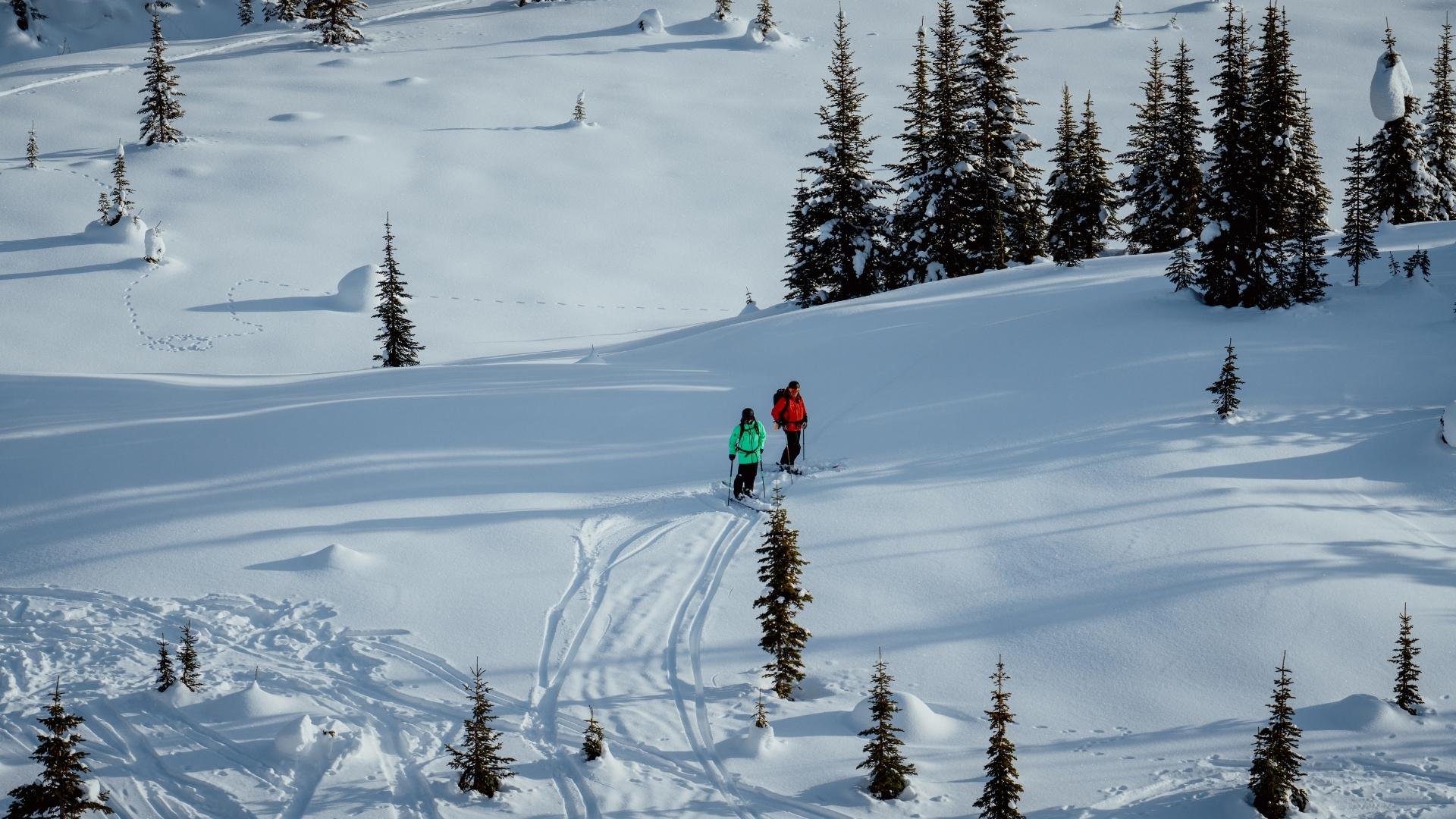 Two skiers touring across fresh snow in alpine terrain