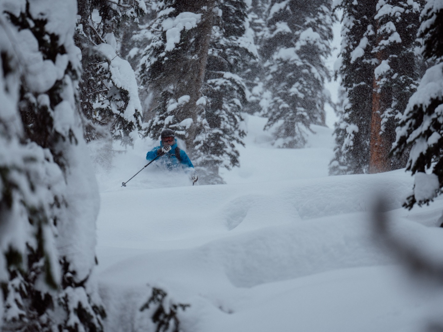 Skier navigating deep powder through snow-covered trees in British Columbia