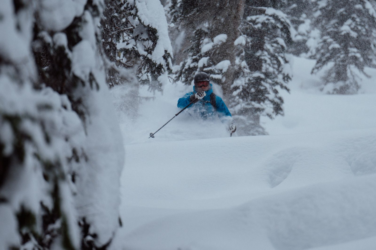Skier in blue jacket skiing deep powder through snow-covered trees